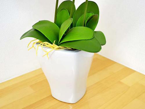 造花(アートフラワー) 胡蝶蘭(コチョウラン)3本立ち ライトパープル 光触媒 | 観葉植物の販売・ギフトならフラワーコーポレーション