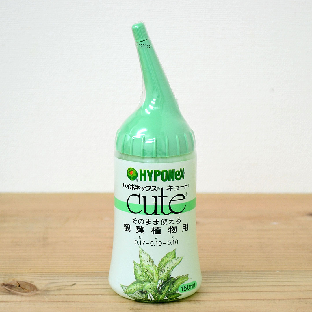 液体肥料 ハイポネックス キュート そのまま使える観葉植物用 150ml