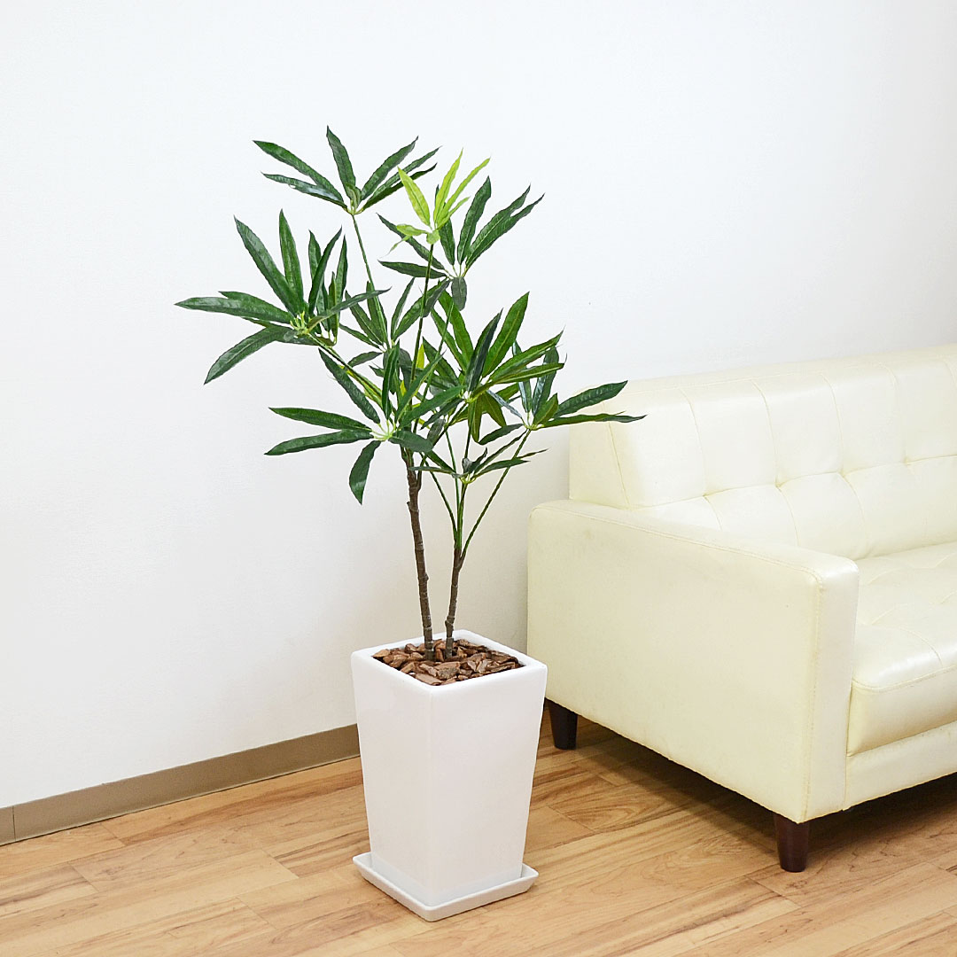 人工観葉植物 シェフレラ スクエア陶器鉢 7号 造花 フェイクグリーン