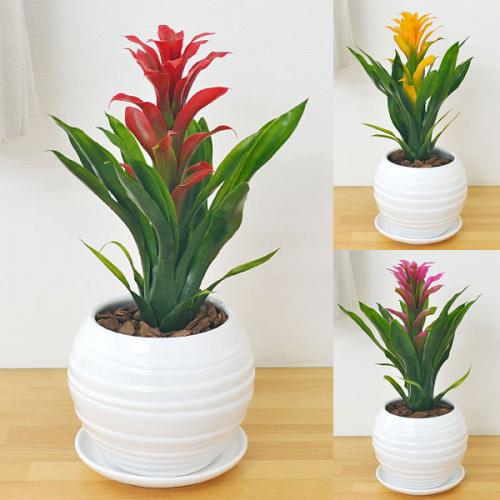 【送料無料】人工観葉植物 グズマニア ボール形陶器鉢 光触媒加工