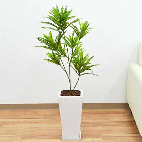 観葉植物の販売・ギフトならフラワーコーポレーション / 人工観葉植物