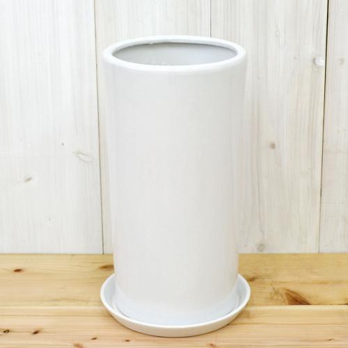 円柱形陶器鉢L ホワイト 8号サイズ