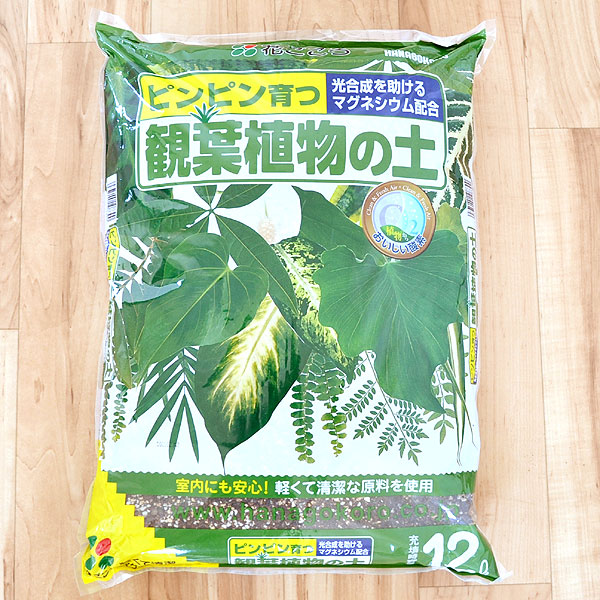 花ごころ 観葉植物の土 12リットル - 通販 - ecuadordental.com.ec