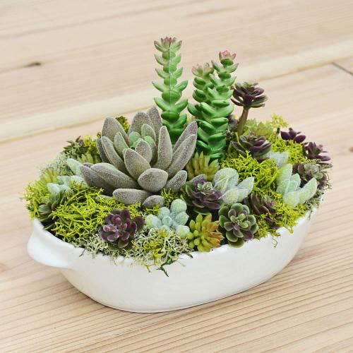 人工観葉植物 多肉植物寄せ植え 造花 フェイクグリーン 皿形陶器 おしゃれ お祝い 送料無料