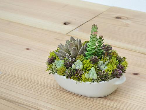 観葉植物の販売 ギフトならフラワーコーポレーション 人工観葉植物 多肉植物寄せ植え 造花 フェイクグリーン 皿形陶器 おしゃれ お祝い 送料無料