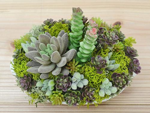 観葉植物の販売 ギフトならフラワーコーポレーション 人工観葉植物 多肉植物寄せ植え 造花 フェイクグリーン 皿形陶器 おしゃれ お祝い 送料無料