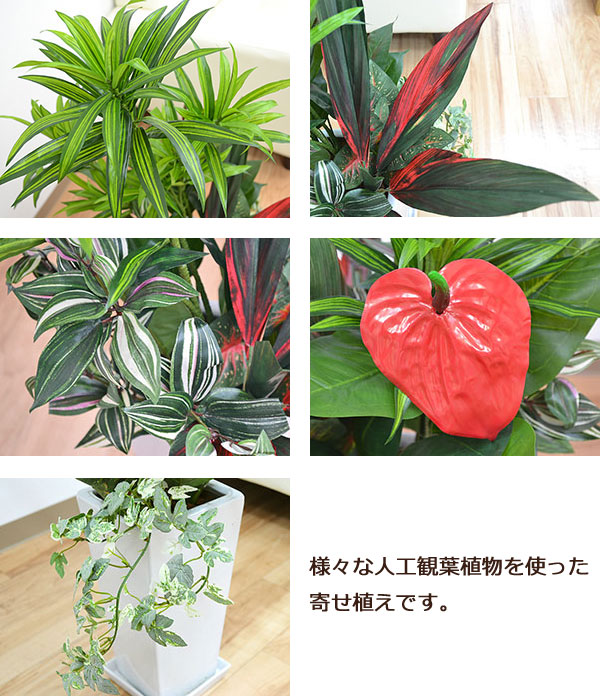 人工観葉植物 寄せ植え(ドラセナ・ソングオブジャマイカ) 陶器鉢 植物の拡大