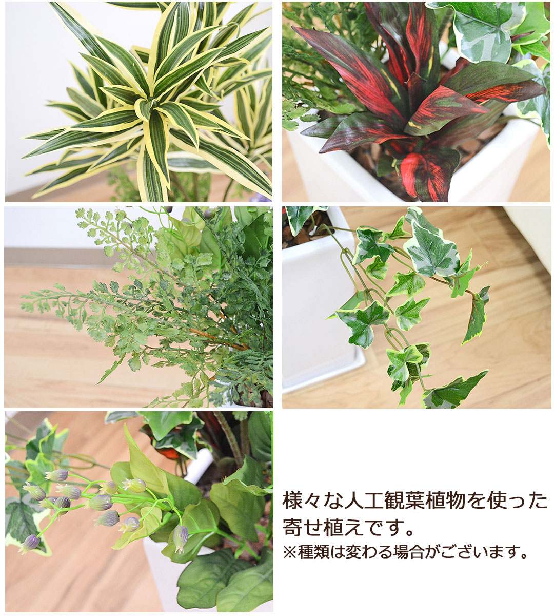 人工観葉植物 寄せ植え(ドラセナ・ソングオブインディア) 陶器鉢 植物の拡大