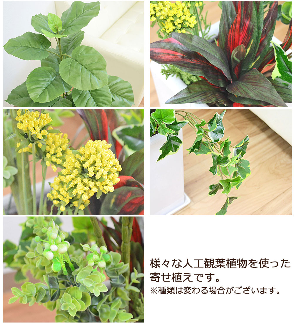 送料無料 人工観葉植物 寄せ植え フィカス ウンベラータ 陶器鉢 観葉植物の販売 ギフトならフラワーコーポレーション