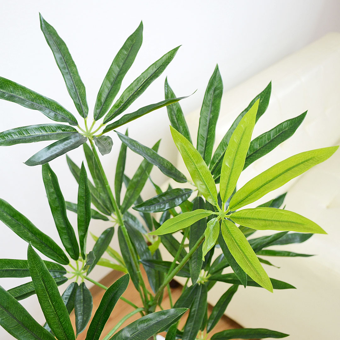 人工観葉植物 シェフレラ 陶器鉢 葉の拡大