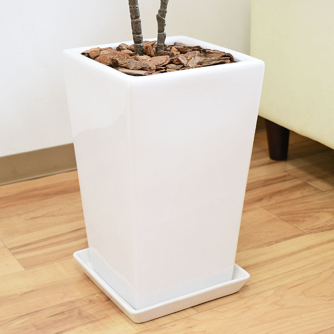 人工観葉植物 シェフレラ 陶器鉢 陶器鉢の拡大