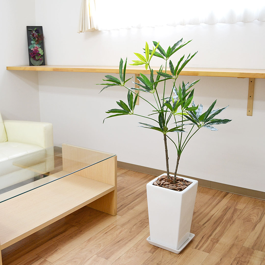 人工観葉植物 シェフレラ 陶器鉢 イメージ2