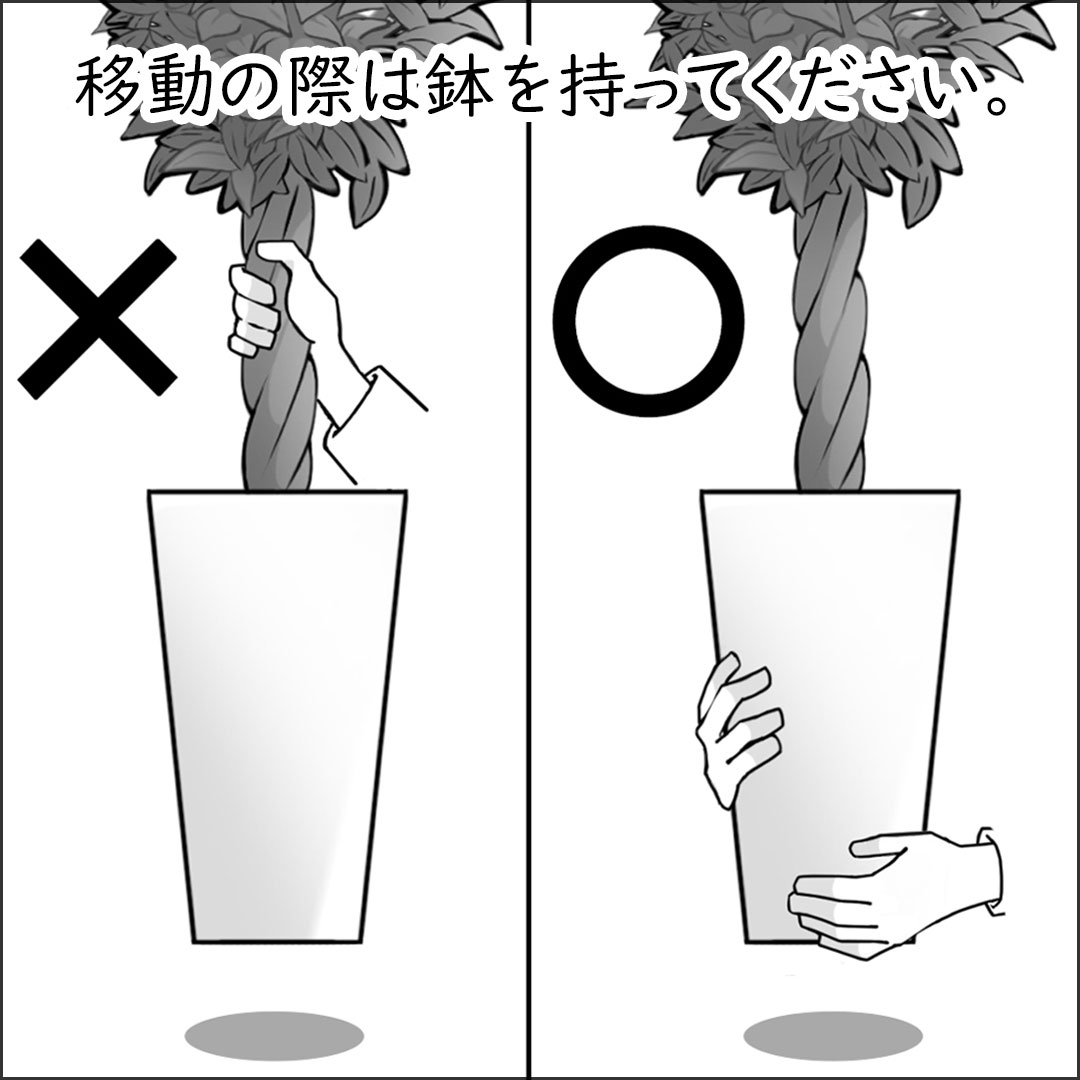 人工観葉植物 移動時の注意