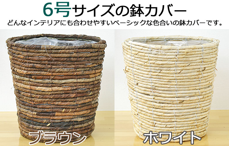 観葉植物 アレカヤシ 6号 鉢カバー付き 鉢カバーの種類