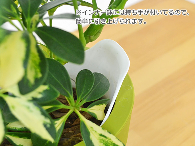 観葉植物 底面給水 3鉢セット 持ち手