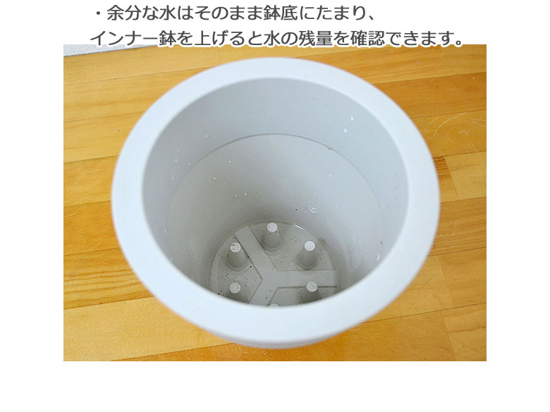 観葉植物 底面給水 3鉢セット 水やり3