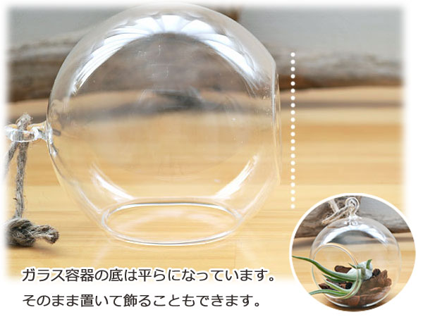 エアープランツ ハンギングガラス ワイヤースタンド付き ガラスの底イメージ