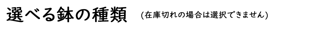 選べる鉢の種類