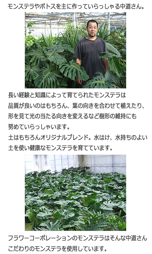 生産者の中道さん