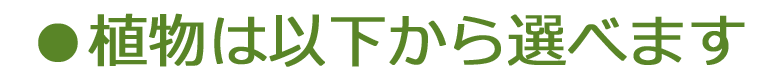 観葉植物は以下から選べます