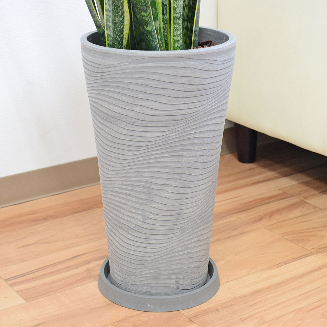観葉植物の販売・ギフトならフラワーコーポレーション / 観葉植物