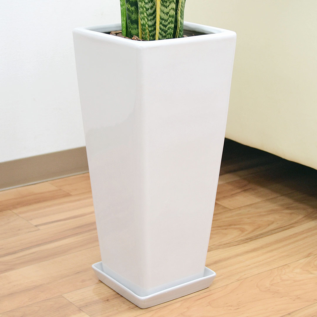 観葉植物 サンスベリア ロングスクエア鉢植え 7号 100cm 鉢の拡大