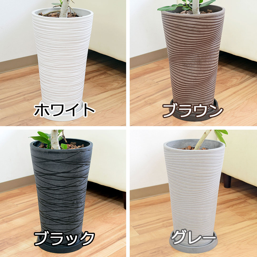 観葉植物 ベンガルゴム デザイン鉢 鉢の拡大