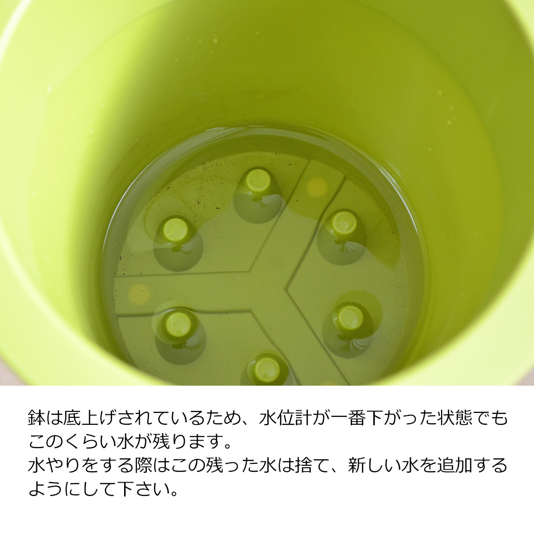 観葉植物 ハイドロ 3鉢セット 水やり案内