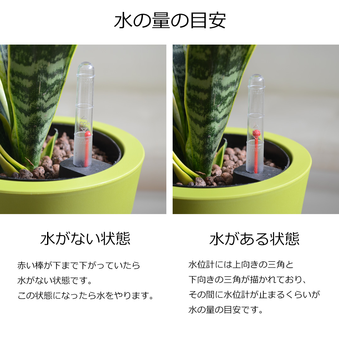 観葉植物 ハイドロ 水の量の目安