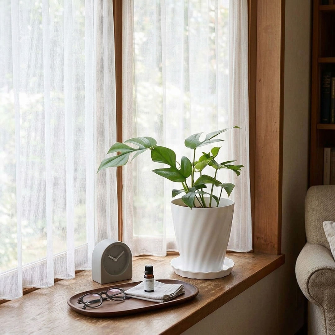 選べる観葉植物 5号 イメージ4