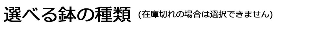 選べる鉢の種類