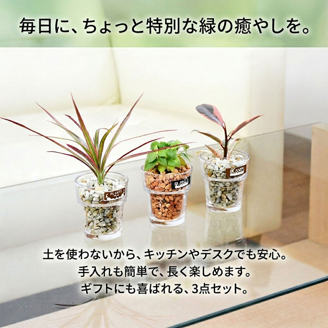 ミニ観葉植物 ハイドロカルチャー ゼオライト 3鉢セット イメージ