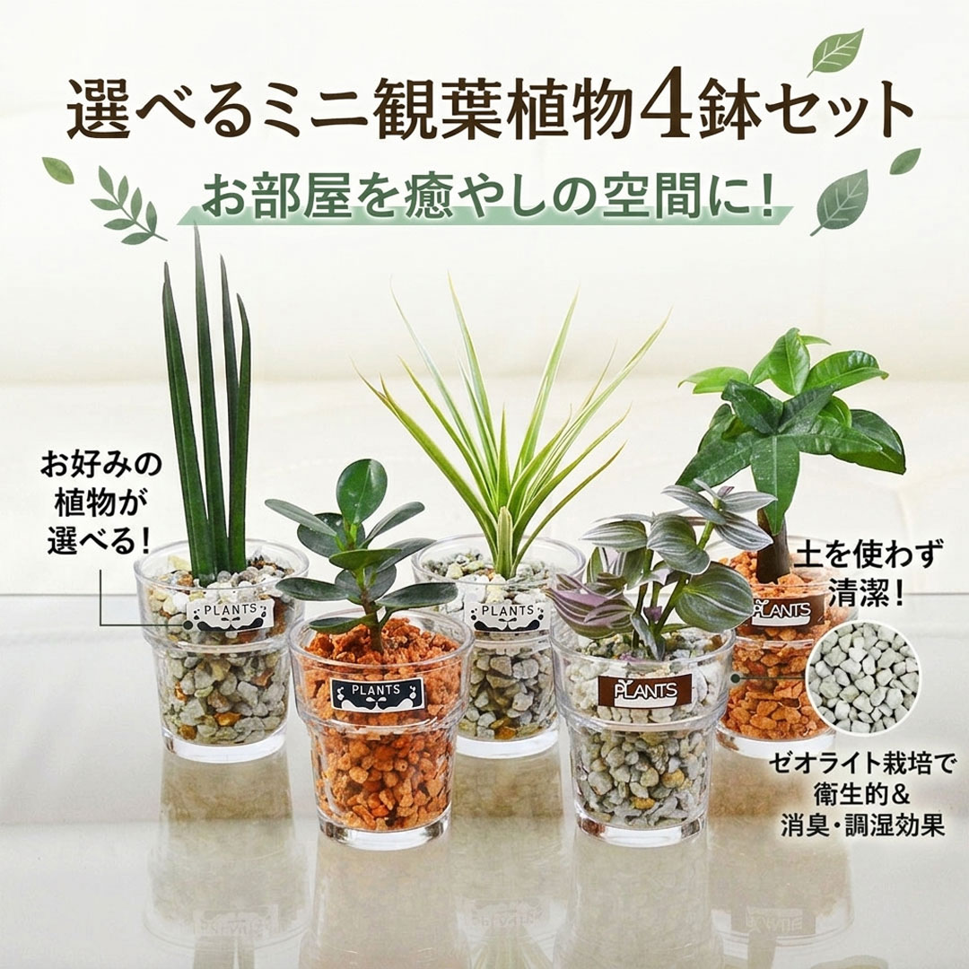 ミニ観葉植物 ハイドロカルチャー ゼオライト 4鉢セット イメージ