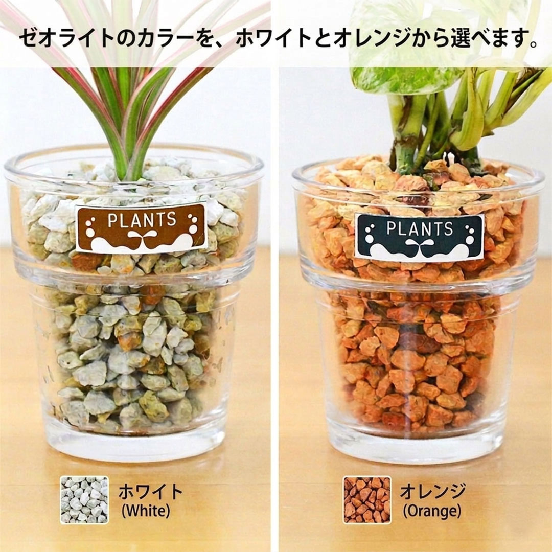ミニ観葉植物 ハイドロカルチャー ゼオライト 3鉢セット ゼオライトの色