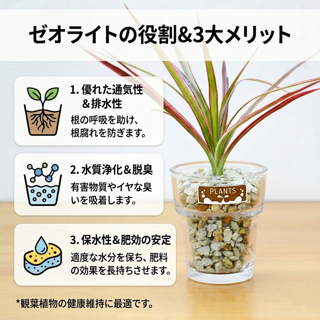 ミニ観葉植物 ハイドロカルチャー ゼオライト 3鉢セット ゼオライトの説明