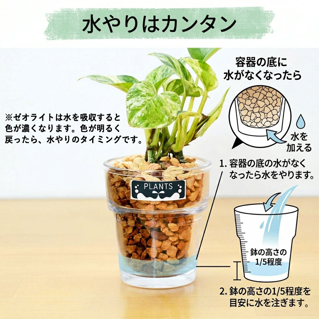 ミニ観葉植物 ハイドロカルチャー ゼオライト 3鉢セット ゼオライトの水やり説明
