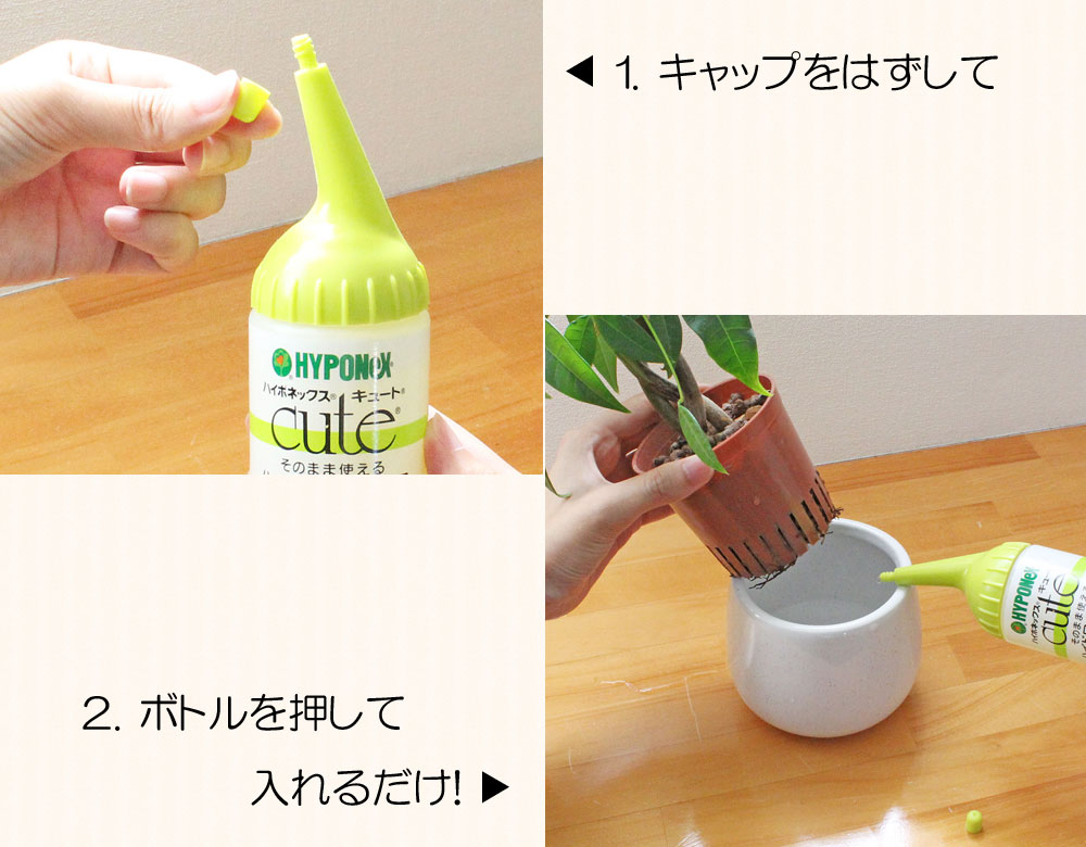 観葉植物の販売 ギフトならフラワーコーポレーション 観葉植物用活力剤 活力液 ハイポネックス キュート 150ml ハイドロカルチャー 水栽培用