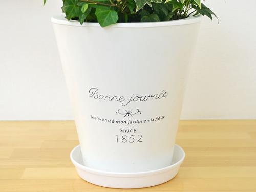 送料無料 観葉植物 アイビー ヘデラ 3種ブリキポット寄せ植え 観葉植物の販売 ギフトならフラワーコーポレーション 送料無料 観葉植物 アイビー ヘデラ 3種ブリキポット寄せ植え 観葉植物の販売 ギフトならフラワーコーポレーション