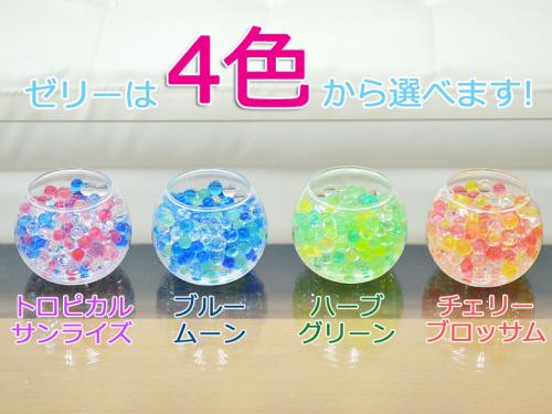 送料無料 ミニ観葉植物 パキラ スフィアガラス ゼリー植え 観葉植物の販売 ギフトならフラワーコーポレーション