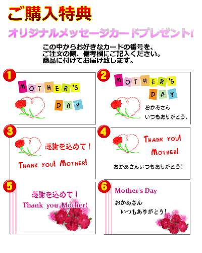 送料無料 母の日ギフト リーガースベゴニア ボリアス 複色 鉢植え 5号 カゴ付き 観葉植物の販売 ギフトならフラワーコーポレーション