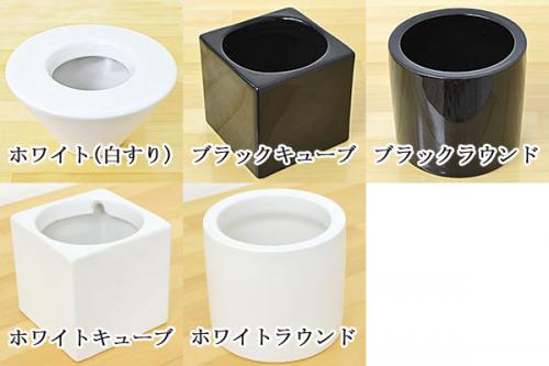 送料無料 ミニ観葉植物 ヒメモンステラ ハイドロカルチャースタイリッシュ陶器鉢付き 観葉植物の販売 ギフトならフラワーコーポレーション 送料無料 ミニ観葉植物 ヒメモンステラ ハイドロカルチャースタイリッシュ陶器鉢付き 観葉植物の販売 ギフトならフラワーコーポレーション