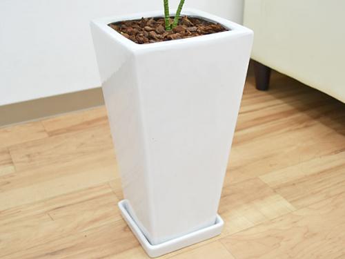 送料無料 人工観葉植物 ドラセナ ソングオブジャマイカ スクエア陶器鉢 光触媒加工 観葉植物の販売 ギフトならフラワーコーポレーション