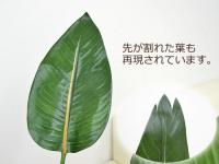 【送料無料】人工観葉植物 寄せ植え(ストレリチア・レギネ) 陶器鉢