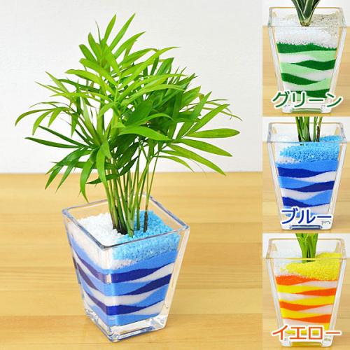 すべての美しい花の画像 新鮮なカラー サンド 水 やり すべての美しい花の画像 新鮮なカラー サンド 水 やり