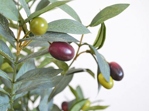 送料無料 人工観葉植物 オリーブ実付き スクエア陶器鉢 光触媒加工 観葉植物の販売 ギフトならフラワーコーポレーション 送料無料 人工観葉植物 オリーブ実付き スクエア陶器鉢 光触媒加工 観葉植物の販売 ギフトならフラワーコーポレーション