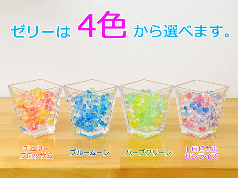 送料無料 ミニ観葉植物 パキラ スクエアガラスゼリー植え 観葉植物の販売 ギフトならフラワーコーポレーション 送料無料 ミニ観葉植物 パキラ スクエアガラスゼリー植え 観葉植物の販売 ギフトならフラワーコーポレーション